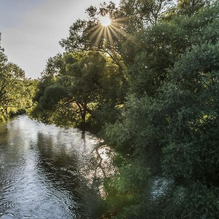 Ferienwohnung Jobst - Ruhig Mit Blick Ins Gruene Nittenau Экстерьер фото